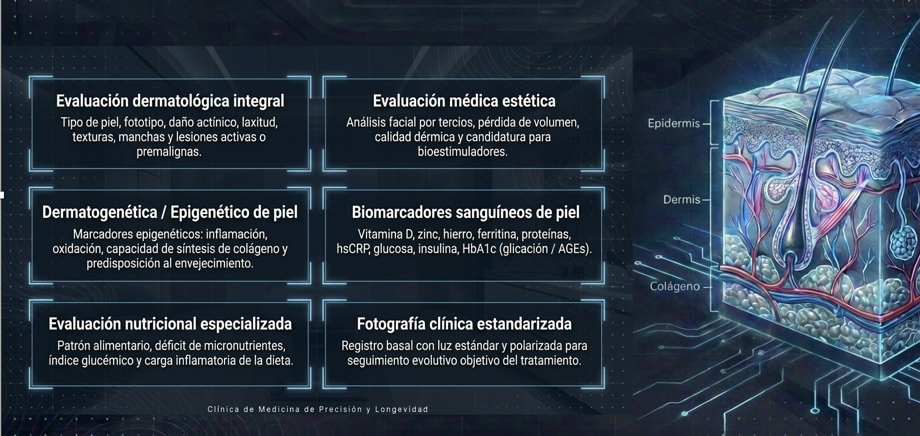 Dermatología de Precisión